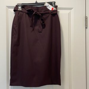 Banana Republic new skirt